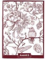 Тетрадь Axent A4/48p (4780-8-A)