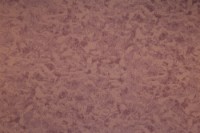 Обои A.S. Palitra 70101-52