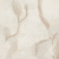 Обои A.S.Creation 79070-4 Flowers Symphony