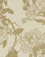 Обои Graham & Brown Steve Leung 31-605