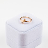 Кольцо Iris Wish s.17 Gold (397)