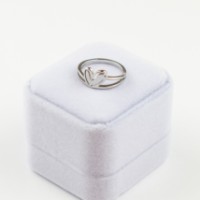 Кольцо Iris Wish s.17 Silver (391)