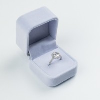 Кольцо Iris Wish s.17 Silver (446)