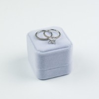 Кольцо Iris Wish s.17 Silver (475)