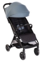 Коляска Graco Myavo Stormy