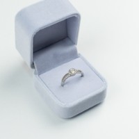 Кольцо Iris Wish s.19 Silver (459)