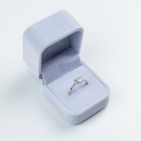 Кольцо Iris Wish s.19 Silver (452)