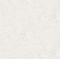 Обои Ostima 98831 Romario