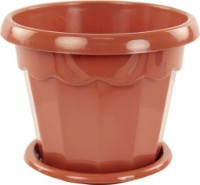 Ghiveci Alternativa Гармония (М1574)