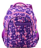 Школьный рюкзак Ecada 61428