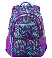 Школьный рюкзак Ecada 61483