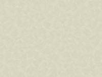 Tapete Parato Estetica 4350