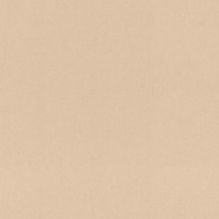 Обои Rasch 977608 Incanto