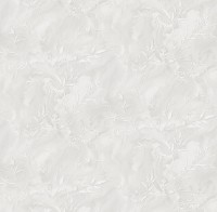 Обои Victoria Stenova 588592 Vera