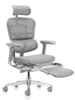 Scaun de birou Comfort T-168-B2 5D-D Ergohuman Luxury 2 Natural Legrest Grey