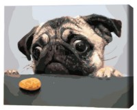 Картина по номерам Brushme Мопс (BS8765FC)