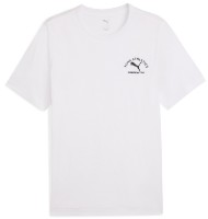 Мужская футболка Puma Class Graphic Tee Puma White, s.XL