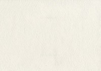 Обои Novamur Inspiration 6196-10