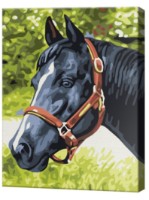 Картина по номерам Art Gallery Premium 20x30cm Вороной конь (CX3545)