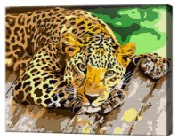 Картина по номерам Art Gallery Premium 20x30cm Отдыхающий хищник (CX4434)