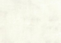 Обои Sirpi Muralto Fashion 30731