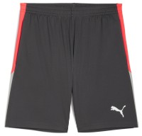 Мужские шорты Puma Individualliga Training Shorts 2 (Open Pockets) Shadow Gray/Puma White/Glowing Red, s.XXL