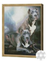 Алмазная картина по номерам Art Gallery Premium Американский питбуль 40x50cm (QB203235)