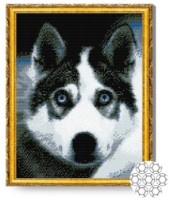 Алмазная картина по номерам Art Gallery Premium Взгляд хаски 40x50cm (GA81621)