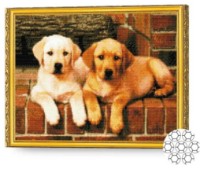 Алмазная картина по номерам Art Gallery Premium Золотистые братья 40x50cm (GA75109)