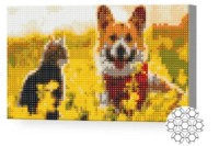 Алмазная картина по номерам Art Gallery Premium Пес и кот на поляне 20x30cm (XQC84007)