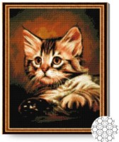 Алмазная картина по номерам Art Gallery Premium Полосатый котенок 40x50cm (GA70164)