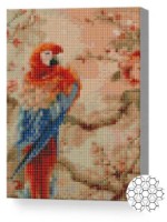 Алмазная картина по номерам Art Gallery Premium Попугай на цветущей ветке 20x30cm (XQC80011)