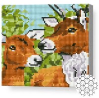 Алмазная картина по номерам Art Gallery Premium Семья оленей 20x20cm (BJ451)