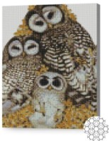 Алмазная картина по номерам Art Gallery Premium Семья совушек 30x40cm (XQB84048)
