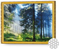 Алмазная картина по номерам Art Gallery Premium Солнечный лесу 40x50cm (GA74898)