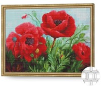 Алмазная картина по номерам Art Gallery Premium Сочные маки 40x50cm (QB201854)