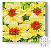 Алмазная картина по номерам Art Gallery Premium Яркие нарциссы 20x20cm (BJ555)