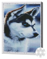 Алмазная картина по номерам Art Gallery Premium Щенок хаски 40x50cm (QB204798)