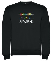 Мужская толстовка Soling Аналитик Black, s.M (Print-sa1)