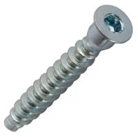 Șuruburile Profmet 016001