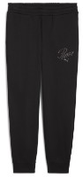 Женские спортивные штаны Puma Ess Script Fl Cl Puma Black, s.S