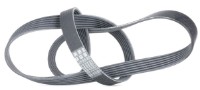 Curea trapezoidală Continental 6PK1310