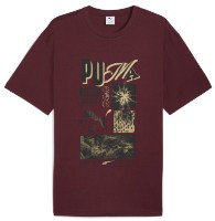 Tricou bărbătesc Puma Graphic Sportswear Ruby Shimmer, s.S