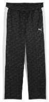 Мужские спортивные штаны Puma T7 All-Over Print Puma Black, s.M