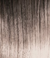 Краска для волос Tassel Bright Color 10.32N 100ml