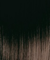 Краска для волос Tassel Bright Color 4.77 100ml