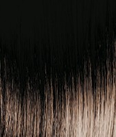 Краска для волос Tassel Bright Color 6.0 100ml