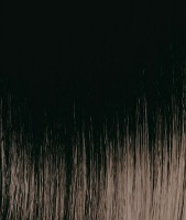 Краска для волос Tassel Bright Color 6.77 100ml