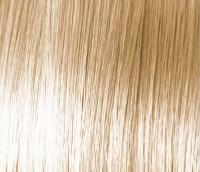 Краска для волос Tassel Fresh Color 12.1 100ml