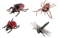 Фигурки животных ChiToys Animal 20cm (YX-C285-2)